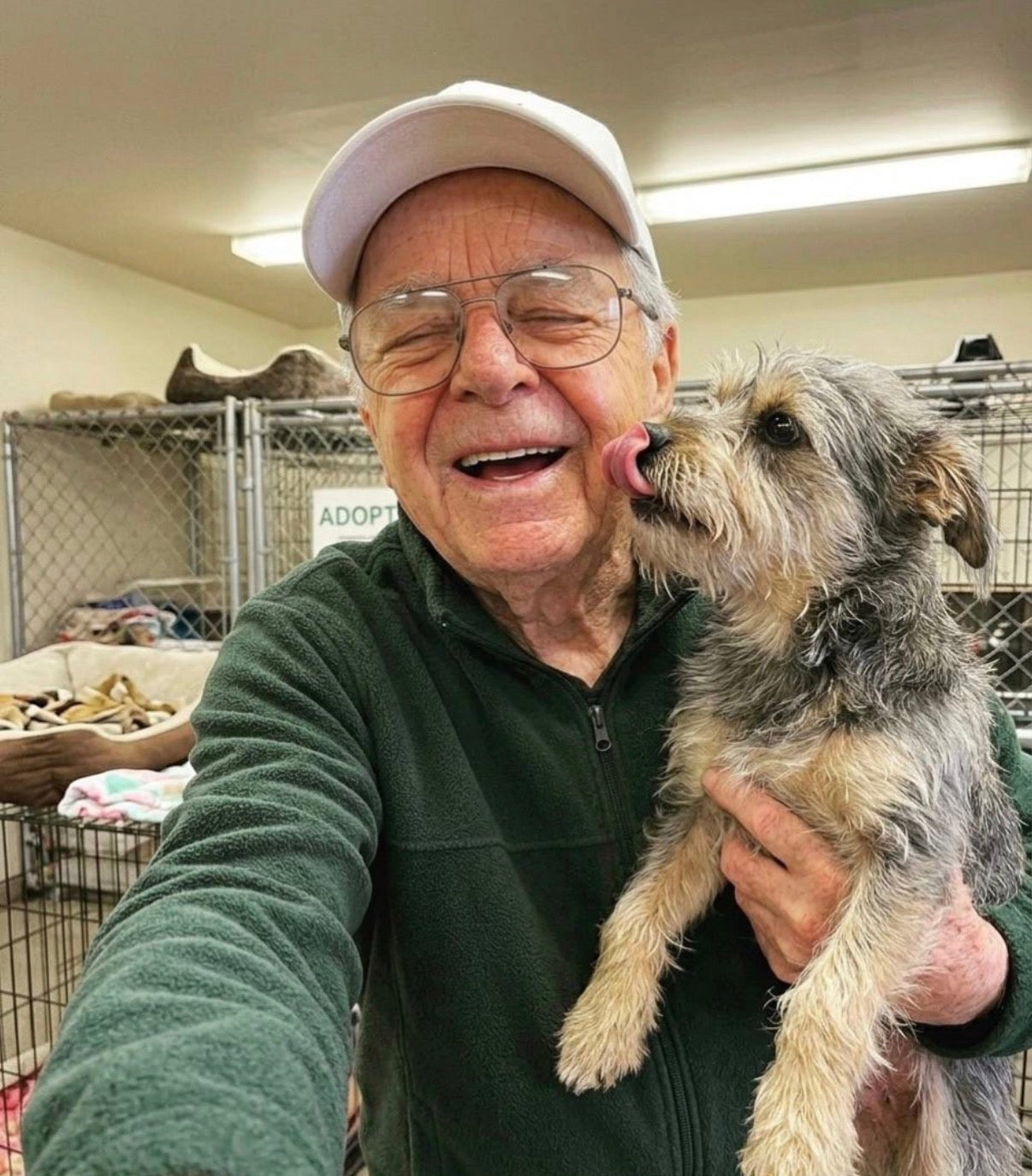 Support Our Shelter